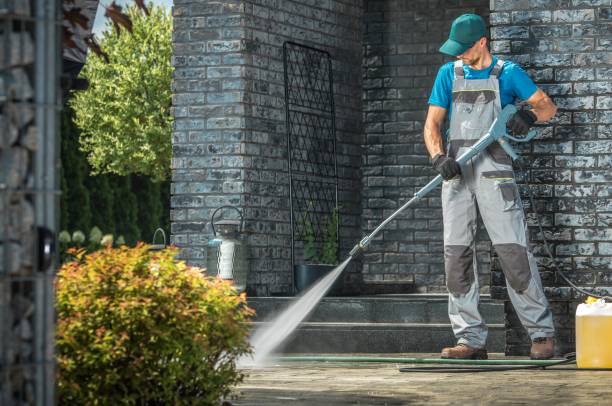 Best Driveway Cleaning and Restoration in Alamae, NC
