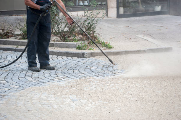Best Fence Cleaning and Maintenance in Alamae, NC