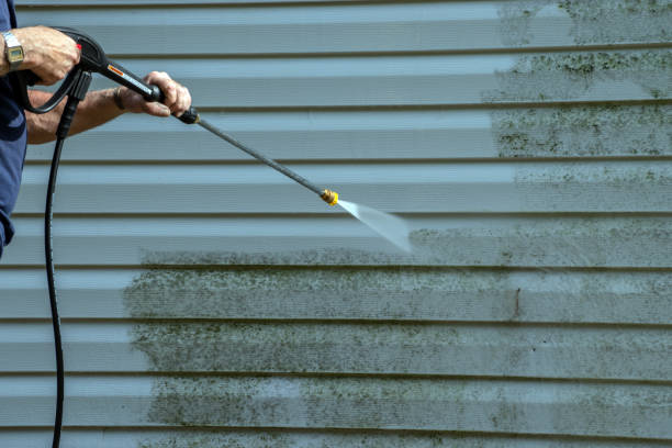 Best Soft Washing for Delicate Surfaces in Alamae, NC