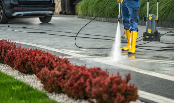 Best Gutter Cleaning and Brightening in Alamae, NC